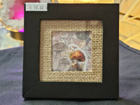 Mushroom Art frame