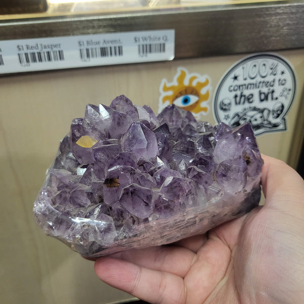 Large Amethyst Cluster