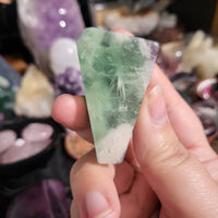 Rainbow Fluorite Freeforms