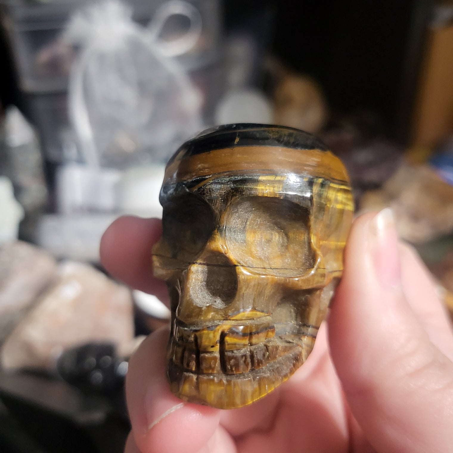 Tiger Eye Skull