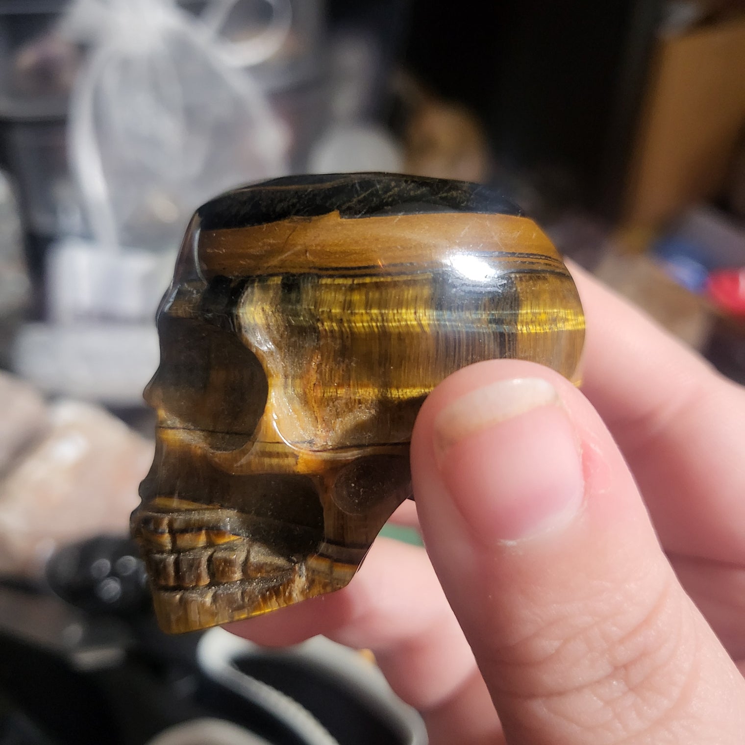 Tiger Eye Skull