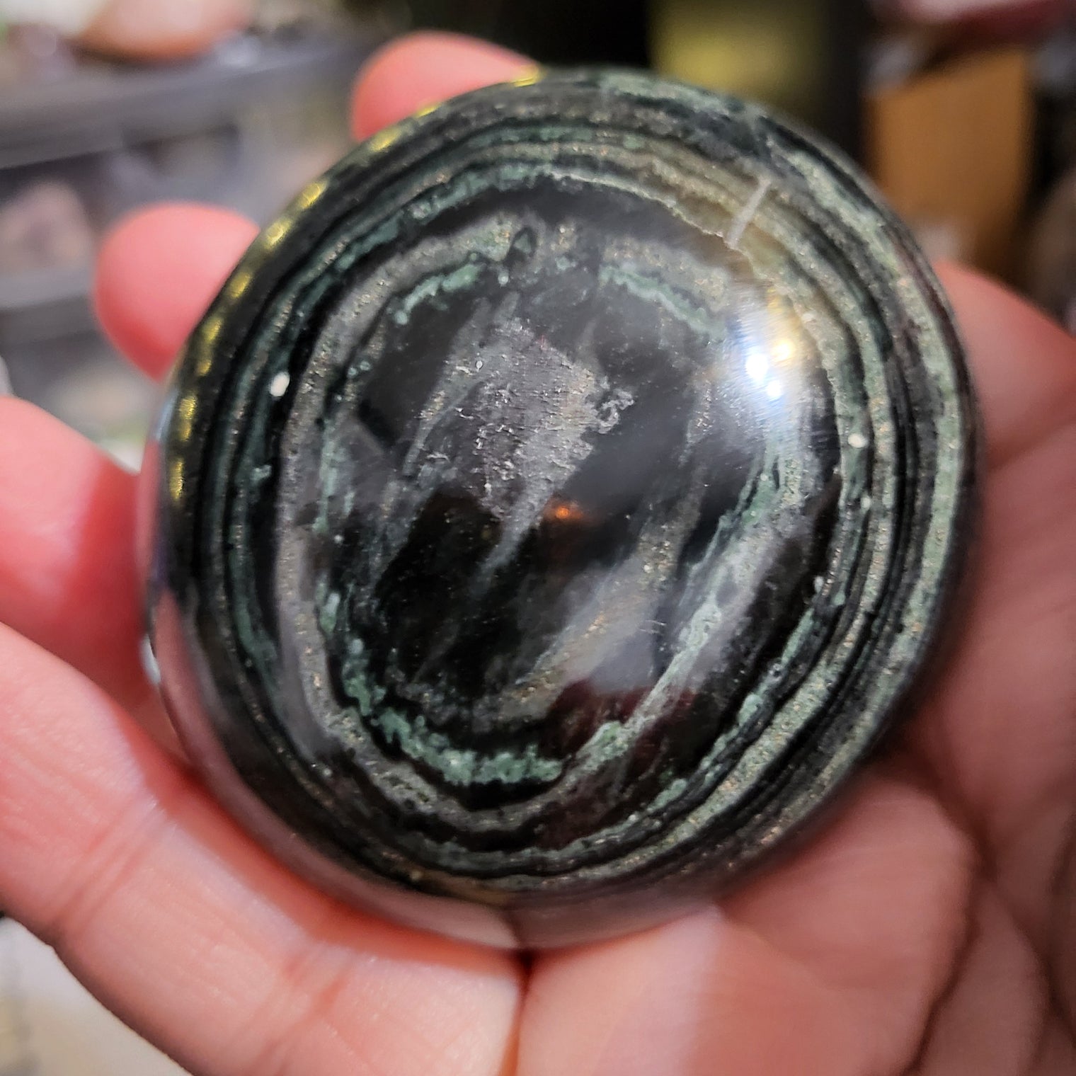 Kambaba Palm Stone