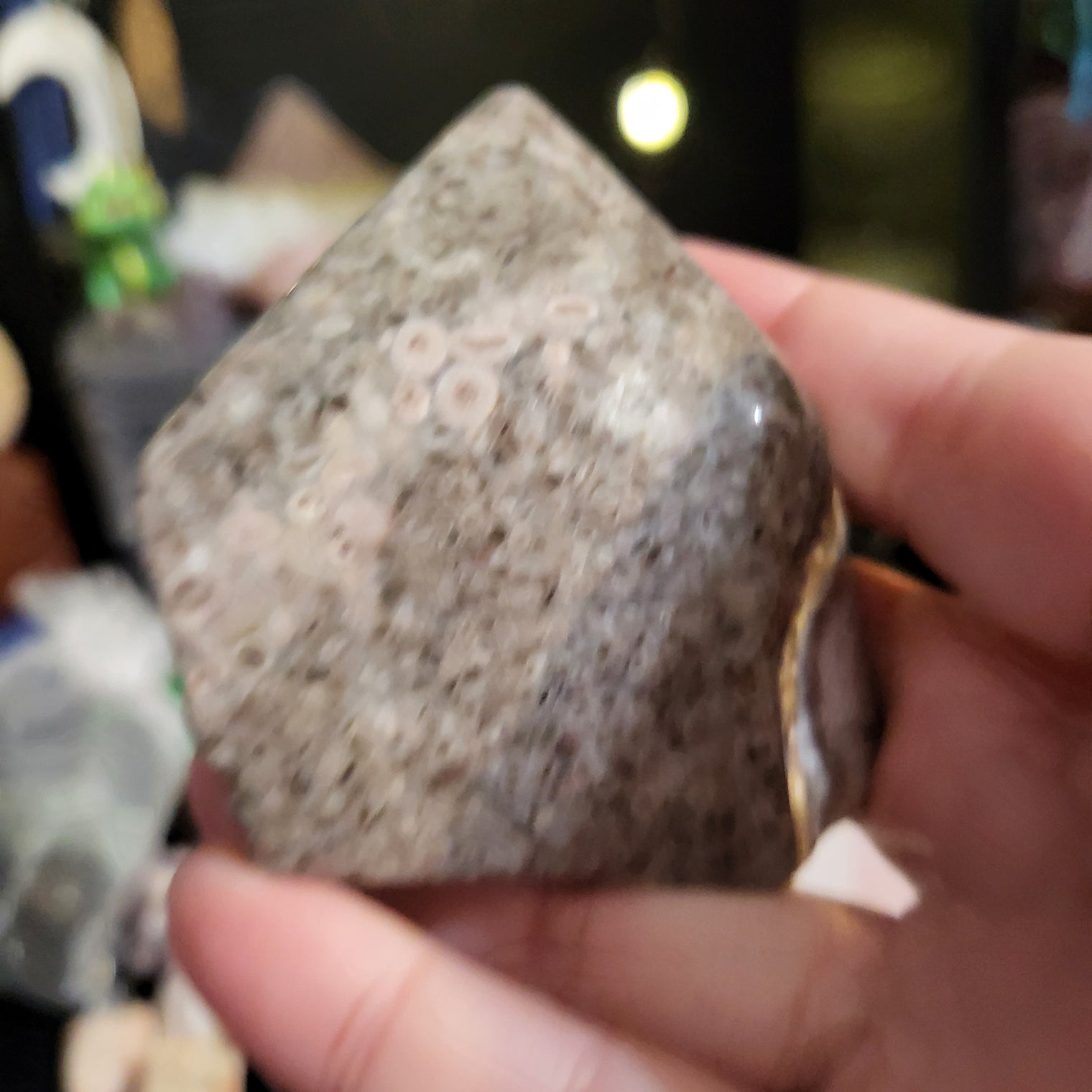 Leopardskin Jasper Tumbled Standing Point