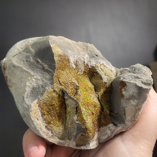 Rainbow Pyrite Geode Fragments