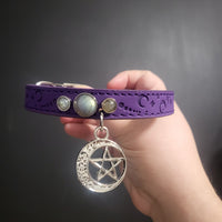 Cat Collars