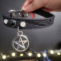 Cat Collars