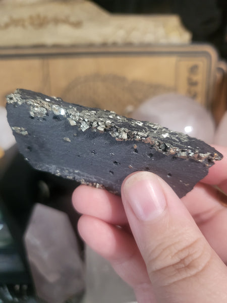 Small Pyrite on Basalt Specimen