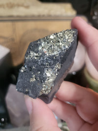 Small Pyrite on Basalt Specimen