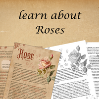 Book of Shadows Pages