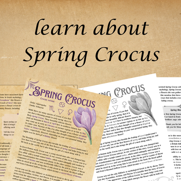Book of Shadows Pages