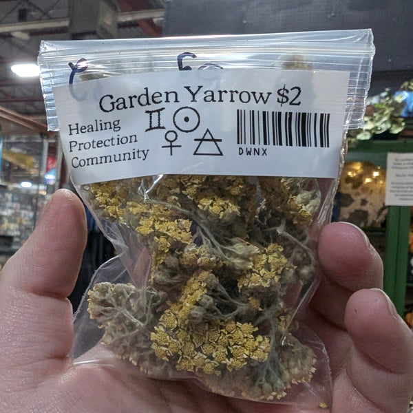 A small bag of yellow yarrow flowers and stems. Label on the bag says "garden yarrow $2 - healing, protection, community" and has symbols for Gemini, Sun, Venus, and Air.