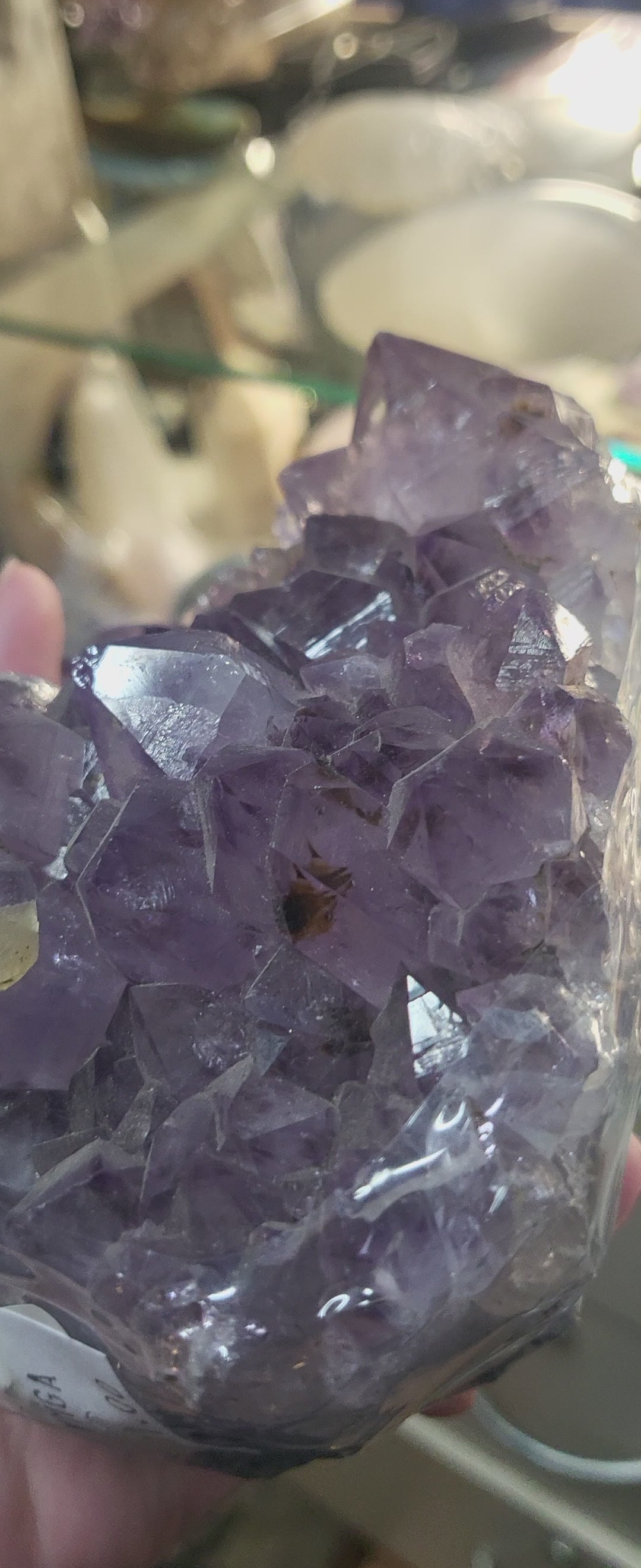 Large Amethyst Cluster
