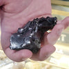 Raw Noble Elite Shungite