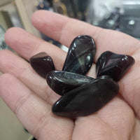 Ancestralite tumbles