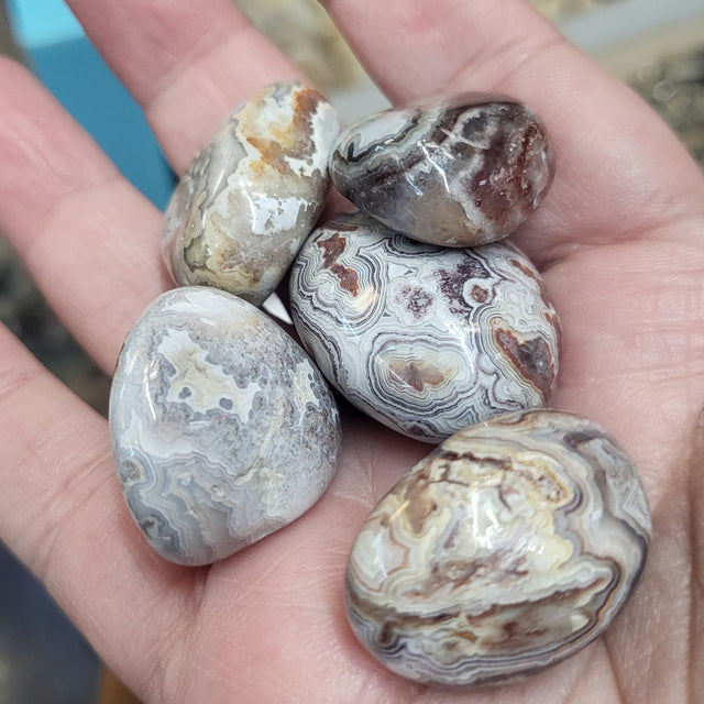 Crazy Lace Agate Tumbles