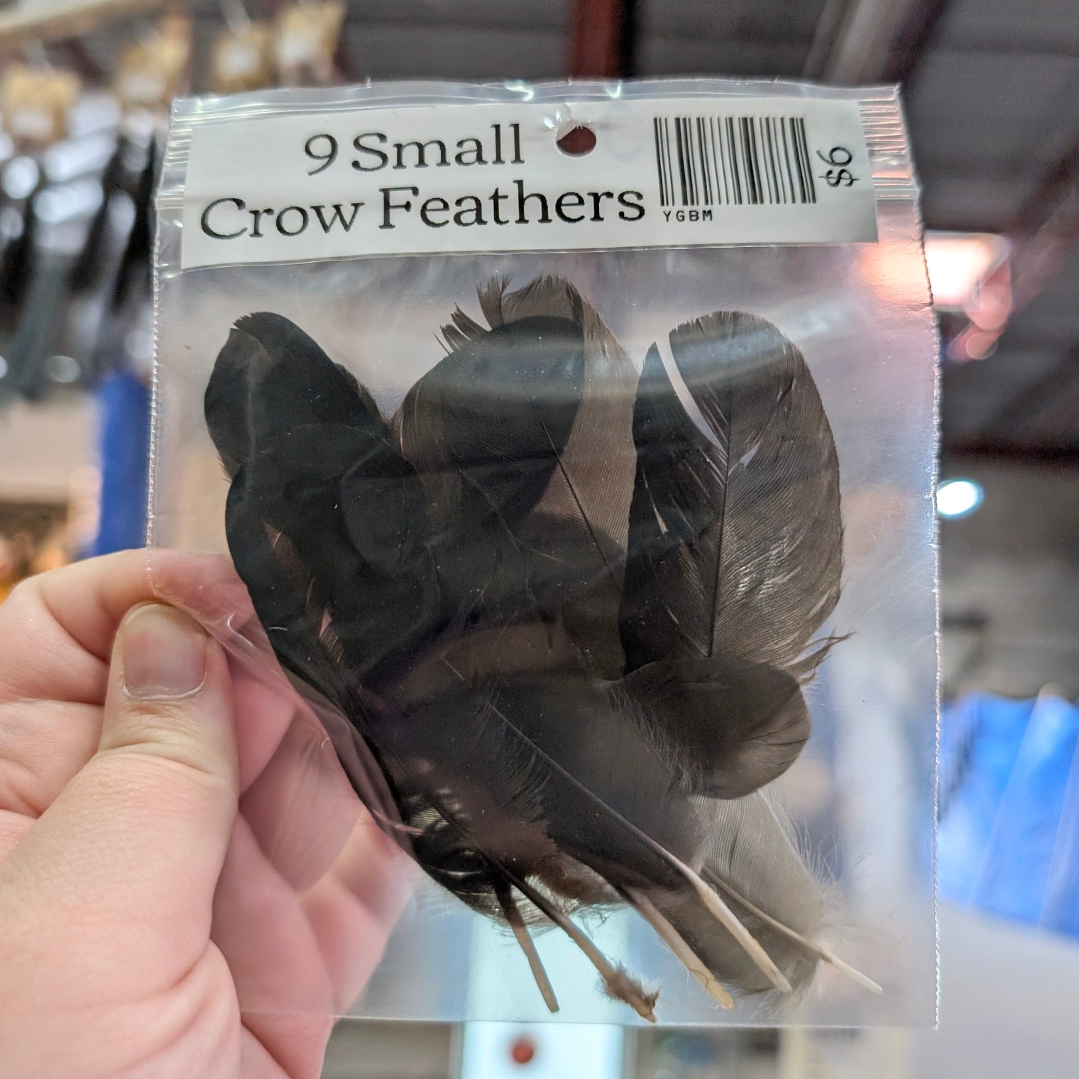 Small Crow Feathers
