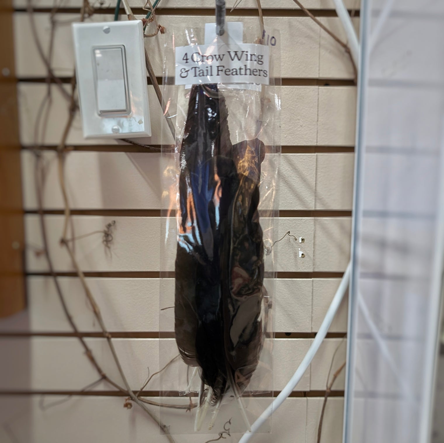 Crow Wing & Tail Feathers