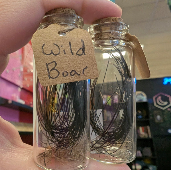 Hair of Wild Boar