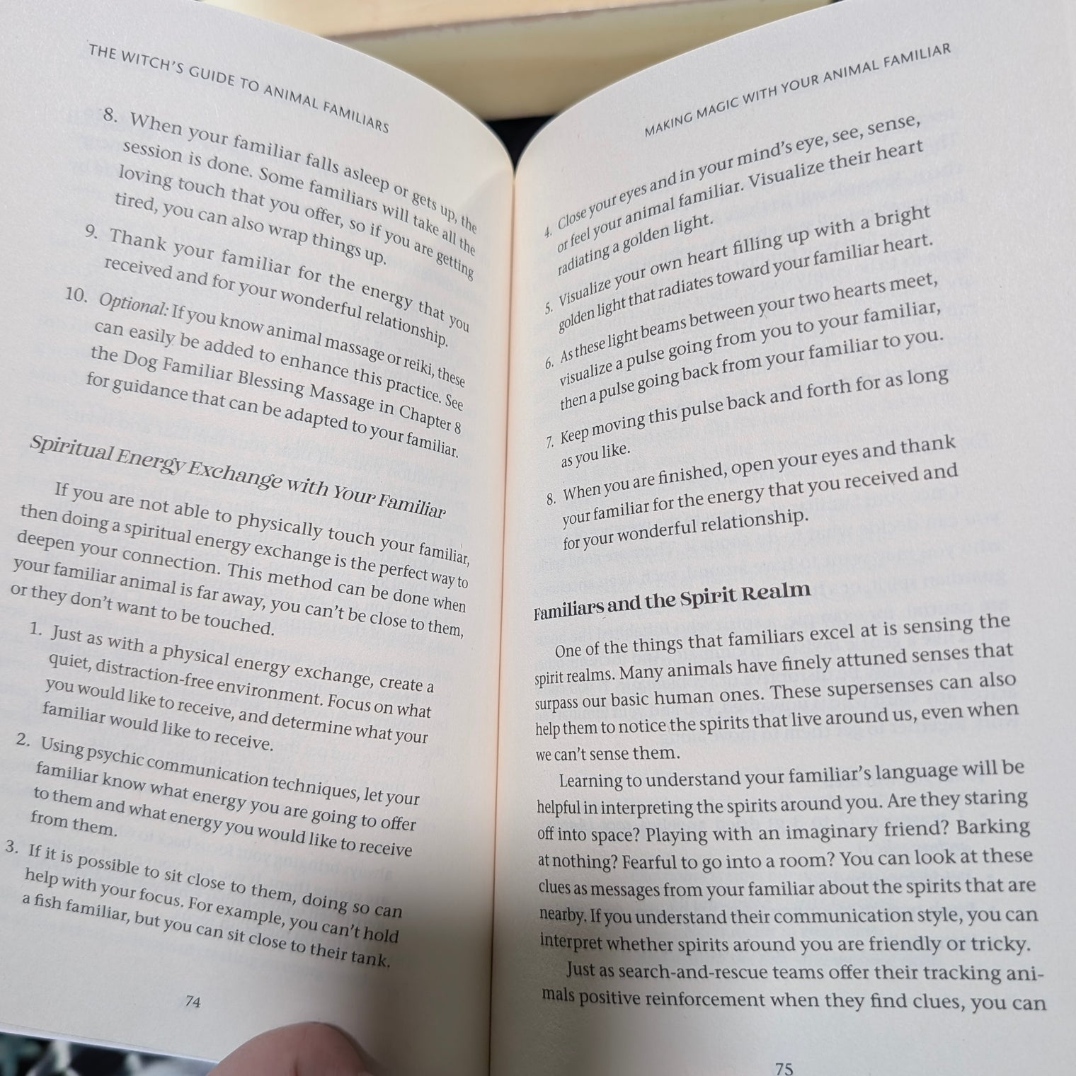 The Witch's Guide to Animal Familiars