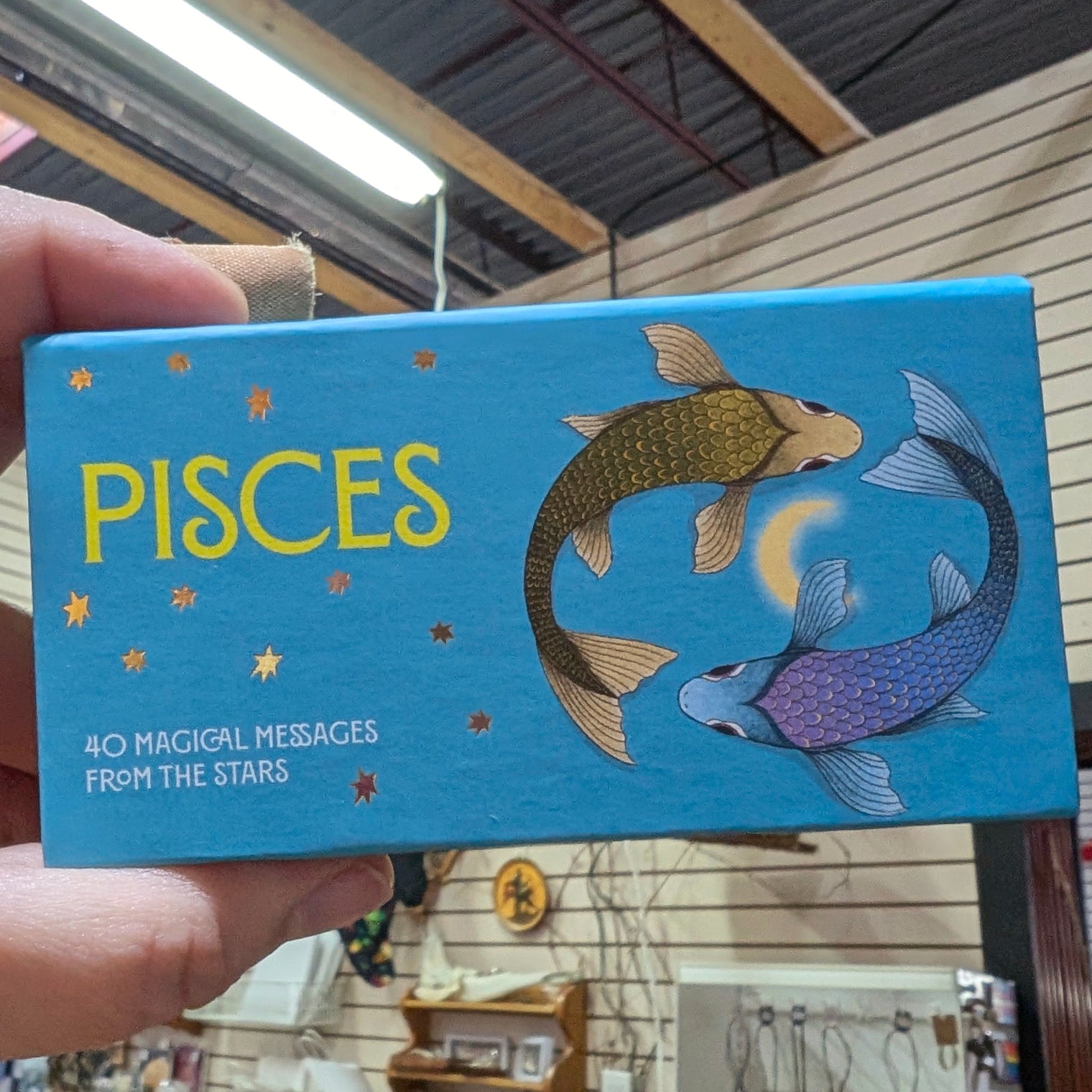 Pocket Zodiac