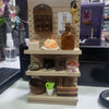 Miniature Witch Shelves