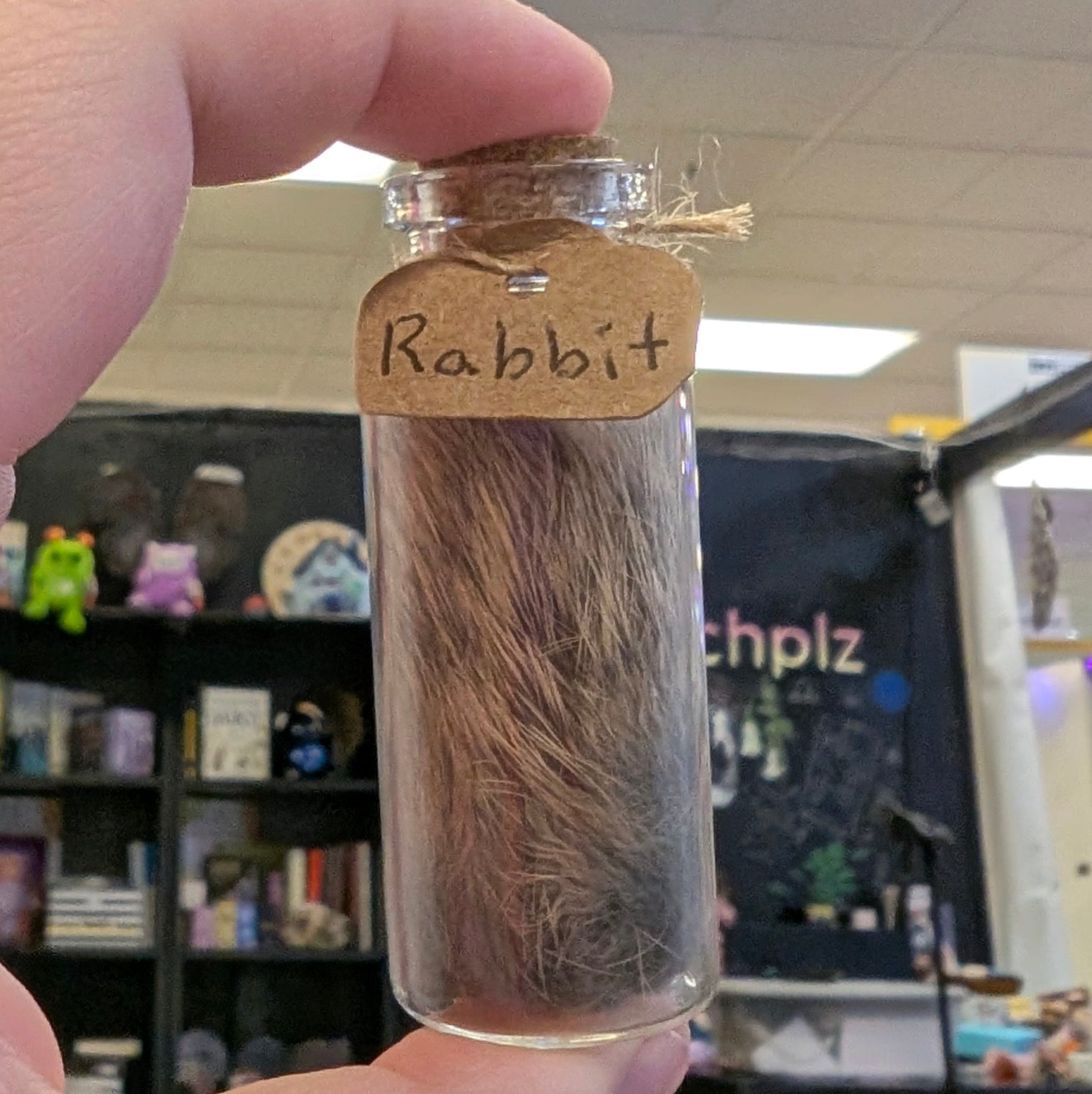Hair of Rabbit