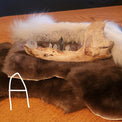A bear jaw with crystal teeth, displayed on a wooden table on top of a pile of furs.