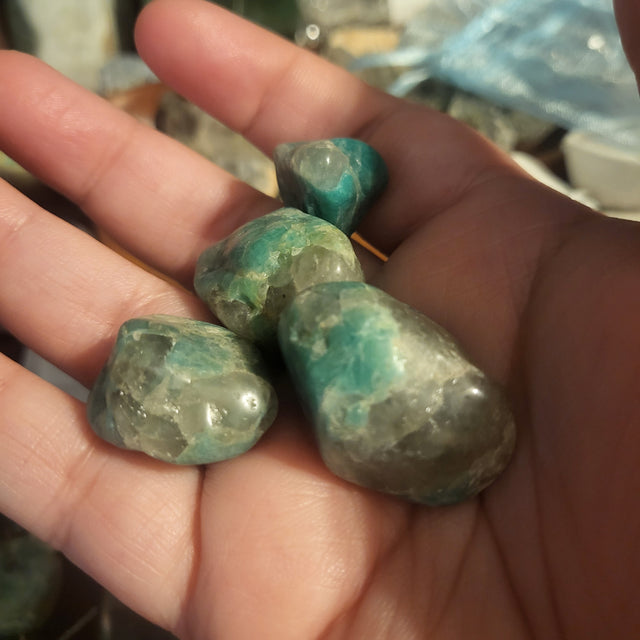 Amazonite Tumbles