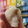 Snake on Skull in Quartz