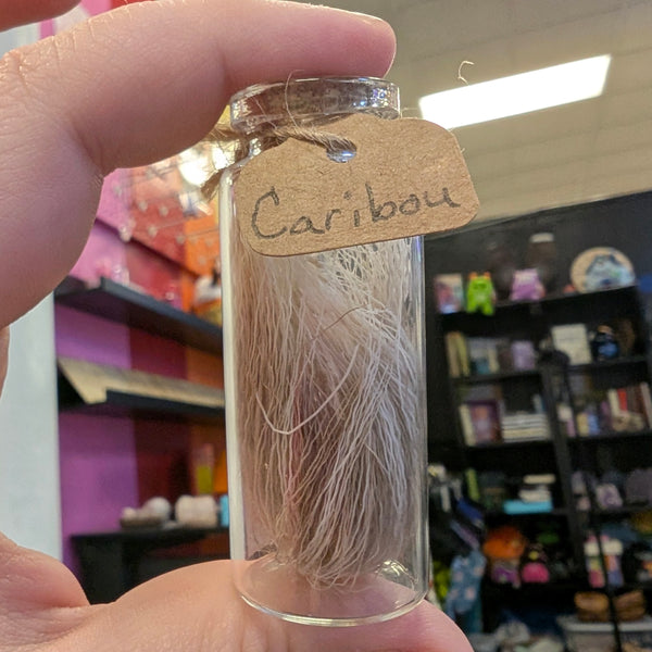 Hair of Caribou