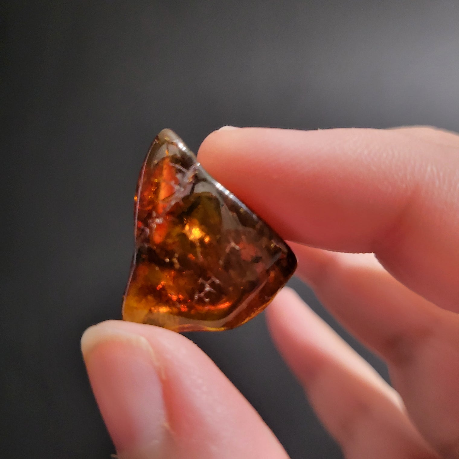 Baltic Amber tumbles