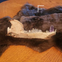 A dark brown and black fur pelt with a white animal jaw and purple crystal teeth arranged on a wooden table.