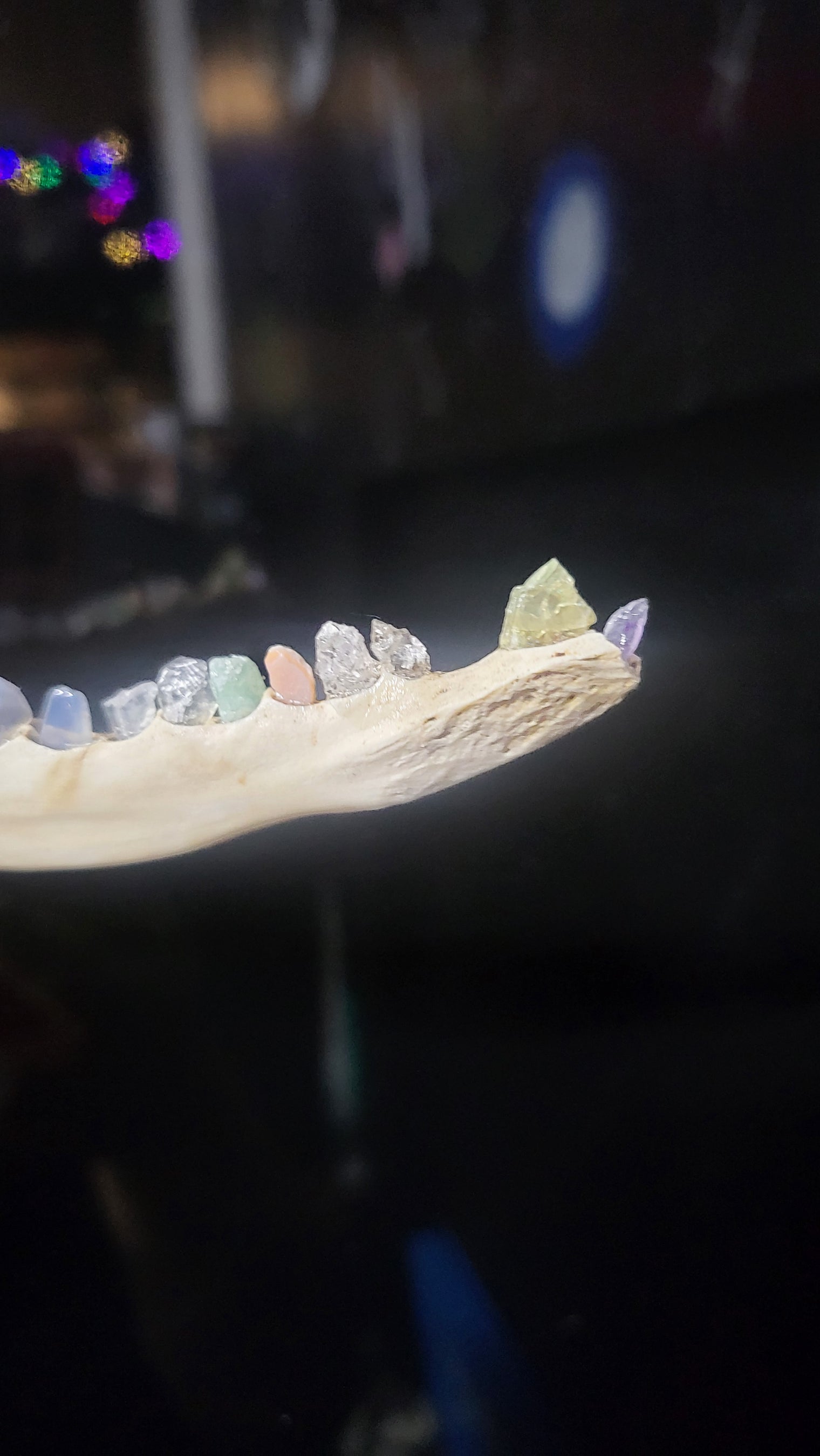 Crystal Tooth Half Jaws (Small)