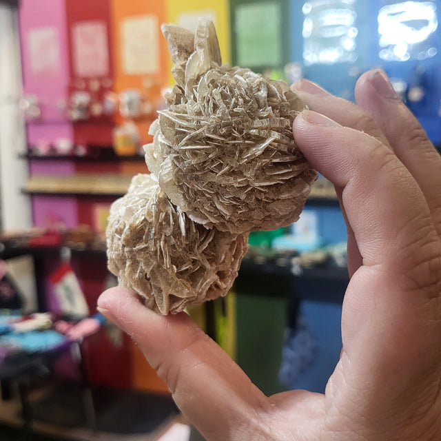 Desert Rose Selenite Unique Pieces