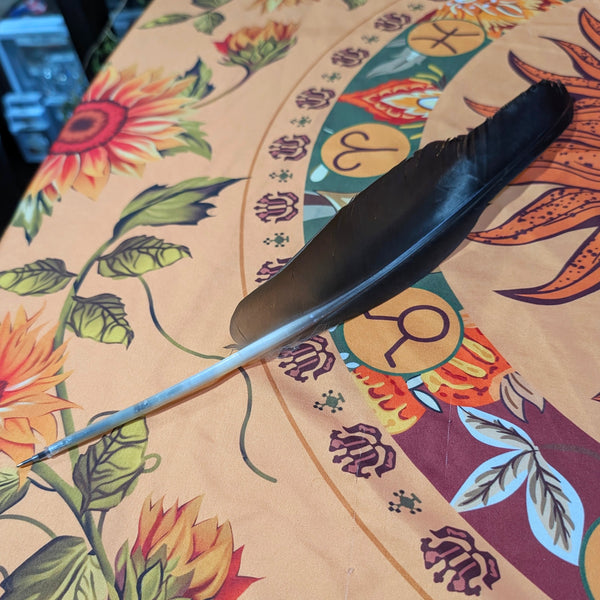 Crow Feather Pen