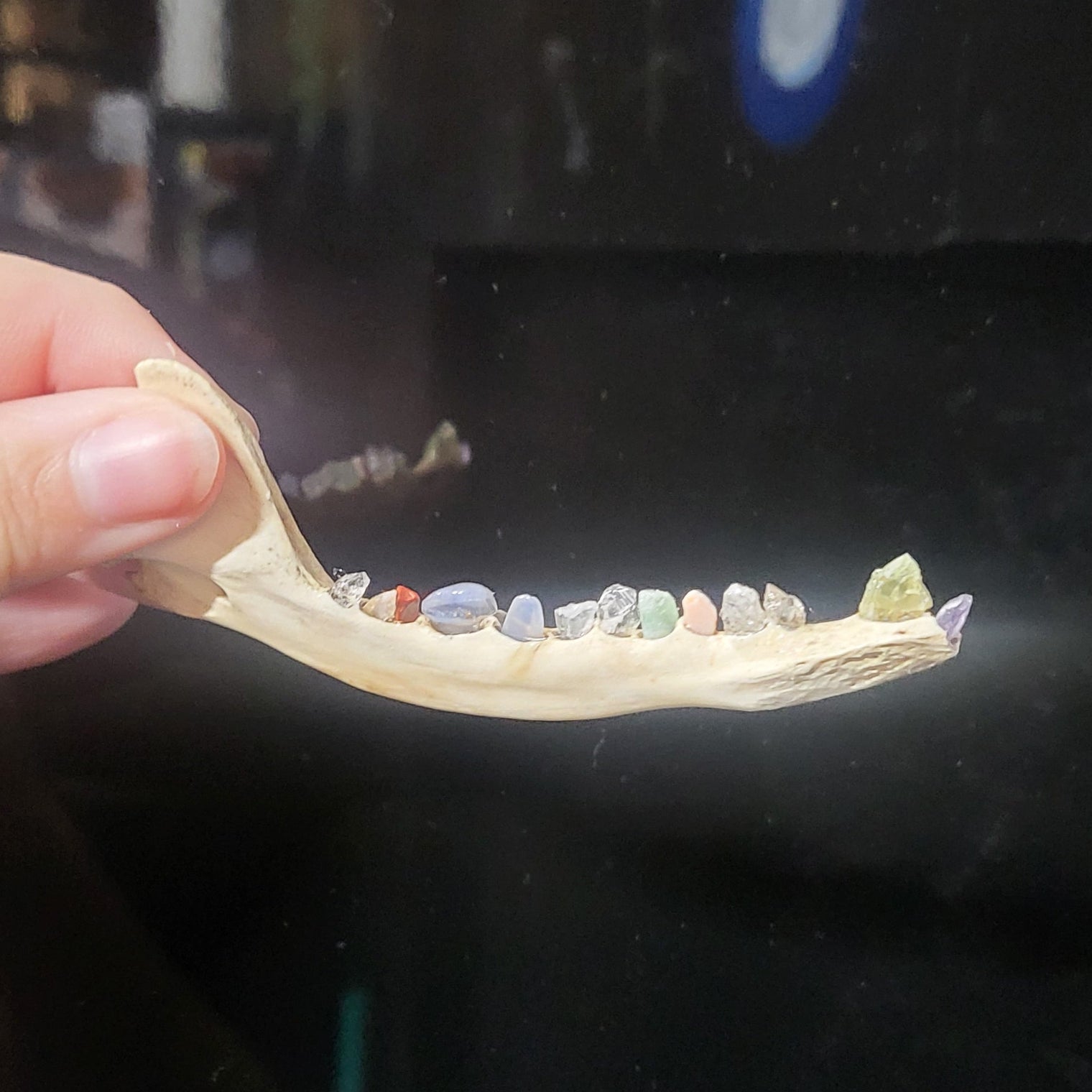 Crystal Tooth Half Jaws (Small)