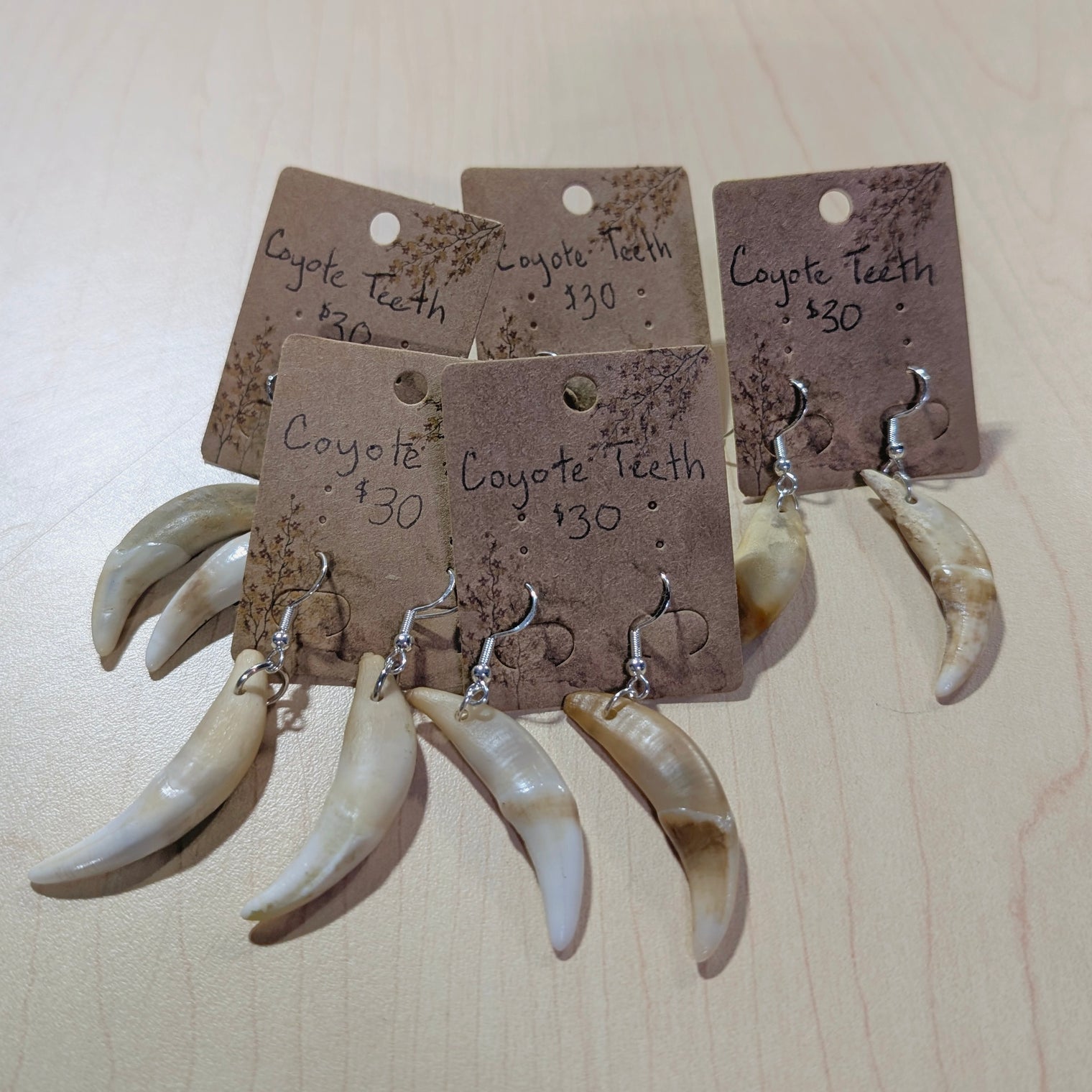 Coyote Teeth earrings