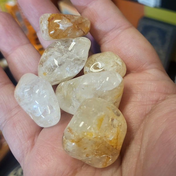 Golden Healer Tumbles