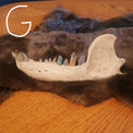 A natural bear jaw with crystal teeth on a dark brown animal pelt, resting on a wooden table against a dark blue wall.