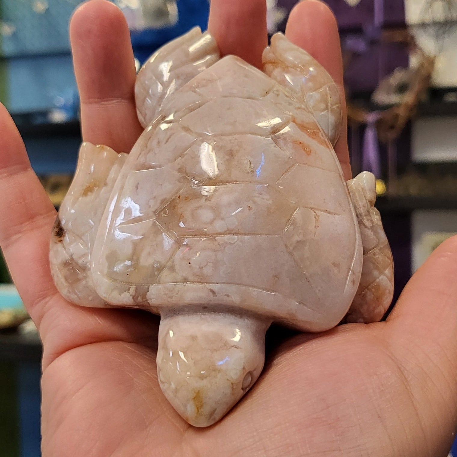 Flower Agate Sea Turtle
