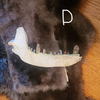 A dark brown fur pelt with a carved animal skull or bone piece placed on top, photographed on a wooden tabletop.