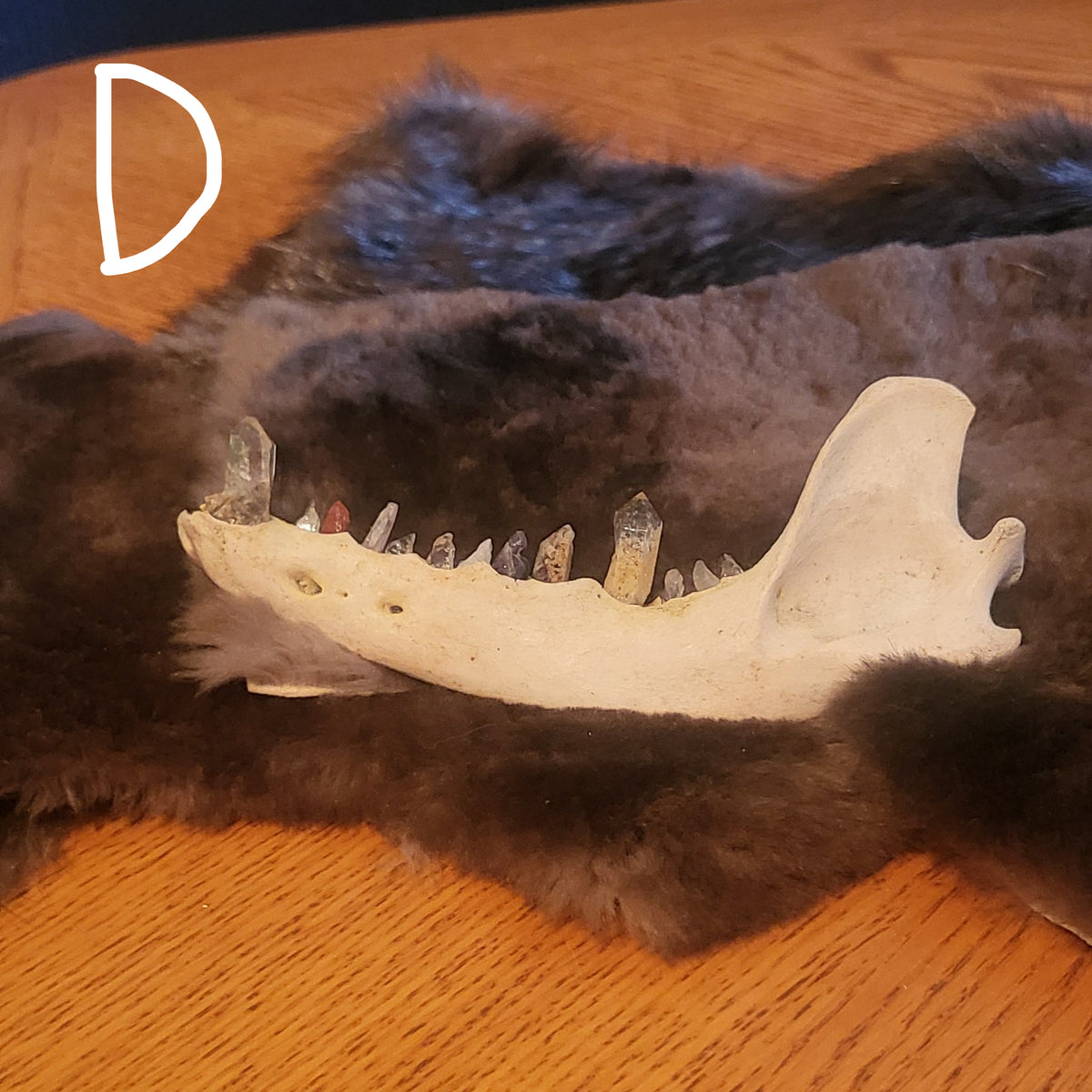 Crystal Bear Jaws
