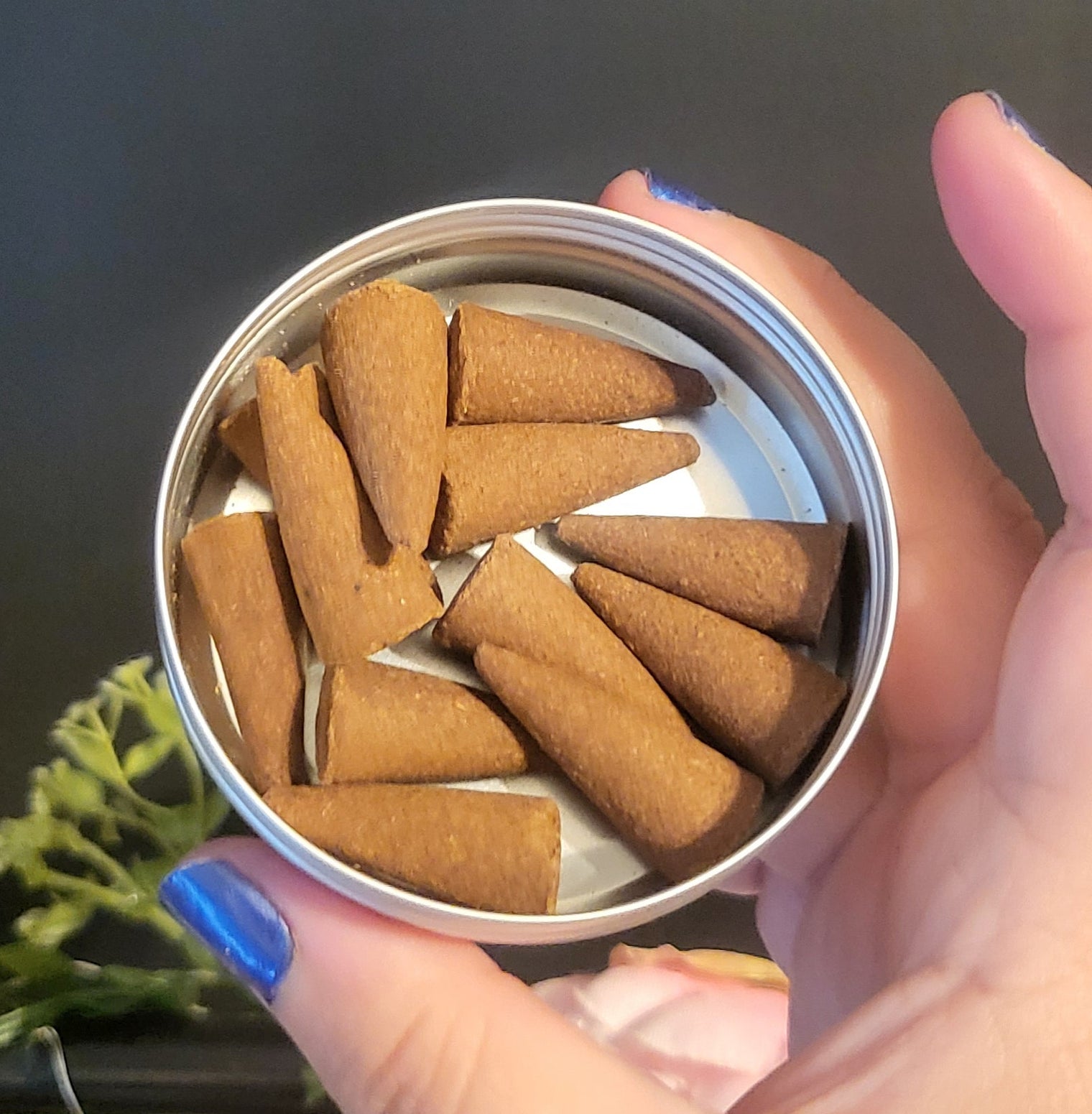 Madame Phoenix Incense Cones - House Blessing