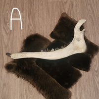 Crystal Moose Jaw