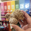 Desert Rose Selenite Unique Pieces