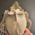 A hand holding a decorated bear skull specimen with a smoky quartz crystal point jutting from the rear, set against a dark gray background.