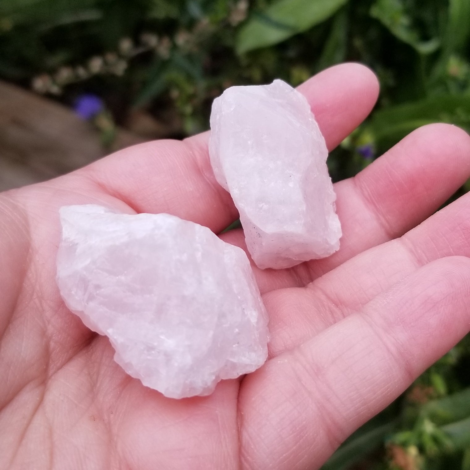 Rose Quartz Chips