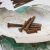 Antique "Coffin" Nails