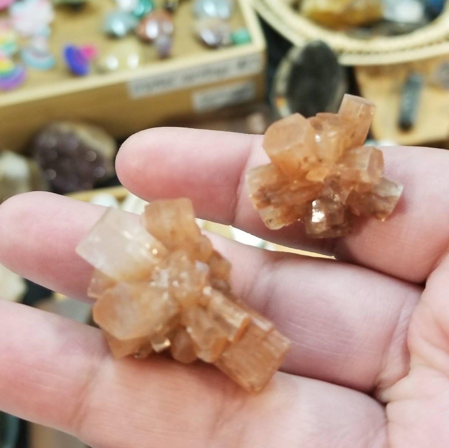Aragonite Sputnik Cluster