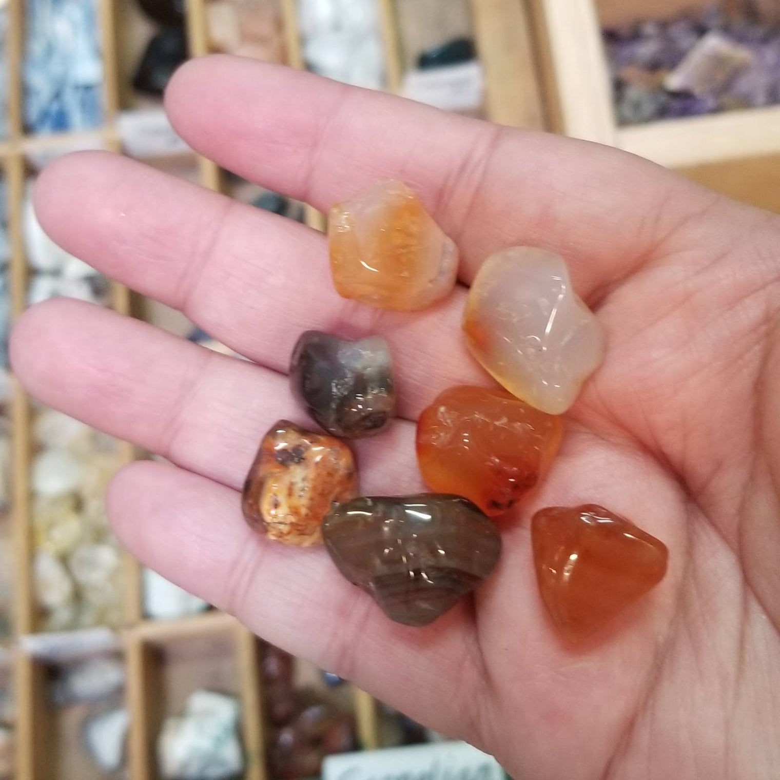 Carnelian and Red Agate Tumbles